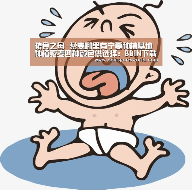粮食之母-藜麦哪里有宁夏种植基地种植藜麦四种颜色供选择:BBIN下载,BBIN电竞,BBIN直播,BBIN国际厅(图2) BBIN下载,BBIN电竞,BBIN直播,BBIN国际厅