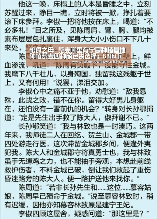 粮食之母-藜麦哪里有宁夏种植基地种植藜麦四种颜色供选择:BBIN下载,BBIN电竞,BBIN直播,BBIN国际厅(图3) BBIN下载,BBIN电竞,BBIN直播,BBIN国际厅
