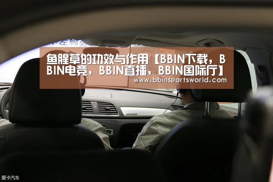 鱼腥草的功效与作用【BBIN下载,BBIN电竞,BBIN直播,BBIN国际厅】(图2) BBIN下载,BBIN电竞,BBIN直播,BBIN国际厅