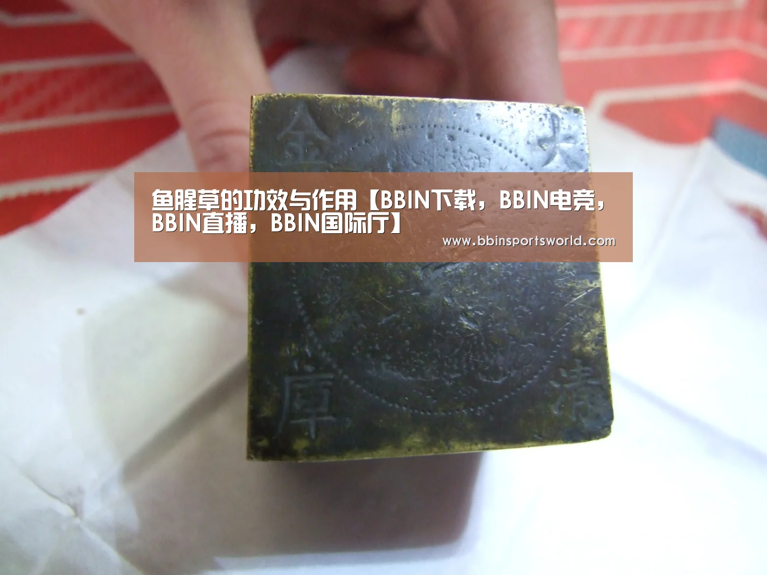 鱼腥草的功效与作用【BBIN下载,BBIN电竞,BBIN直播,BBIN国际厅】(图3) BBIN下载,BBIN电竞,BBIN直播,BBIN国际厅