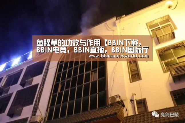 鱼腥草的功效与作用【BBIN下载,BBIN电竞,BBIN直播,BBIN国际厅】(图4) BBIN下载,BBIN电竞,BBIN直播,BBIN国际厅