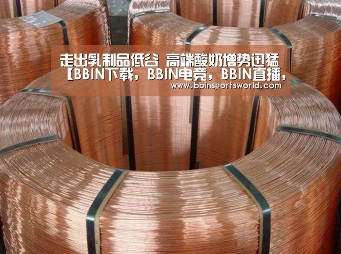 BBIN下载，BBIN电竞，BBIN直播，BBIN国际厅