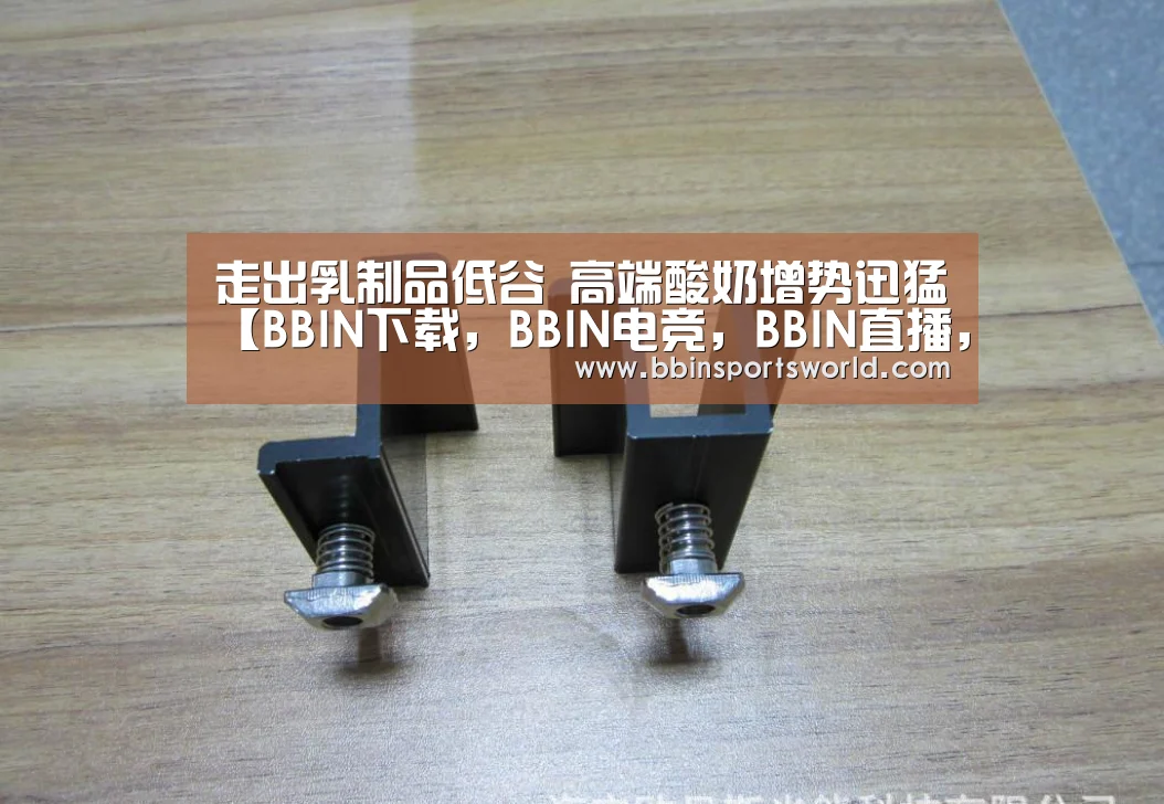 BBIN下载，BBIN电竞，BBIN直播，BBIN国际厅