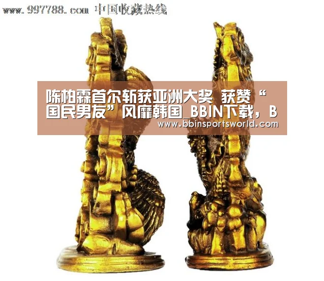 BBIN下载，BBIN电竞，BBIN直播，BBIN国际厅