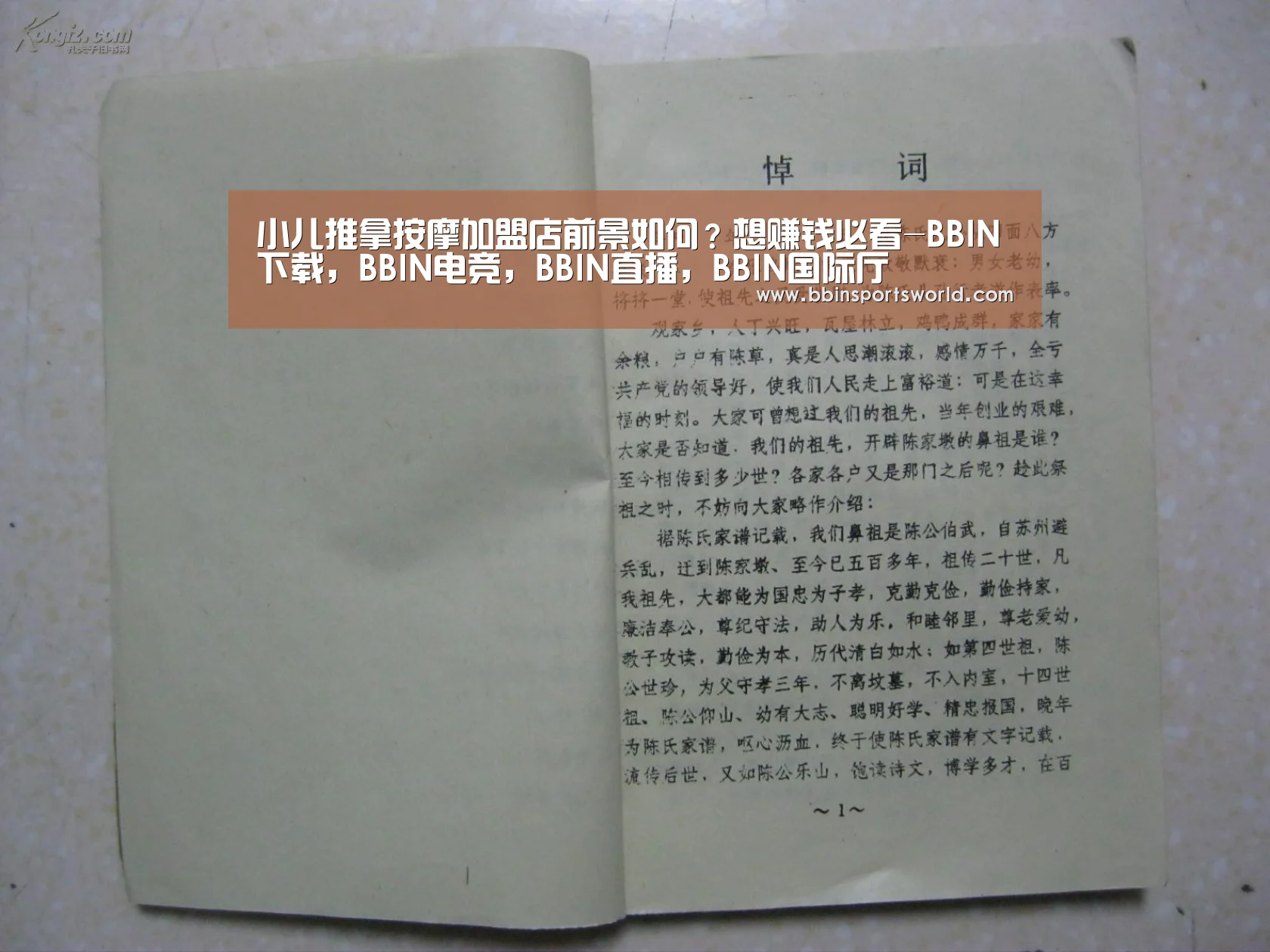 BBIN下载，BBIN电竞，BBIN直播，BBIN国际厅