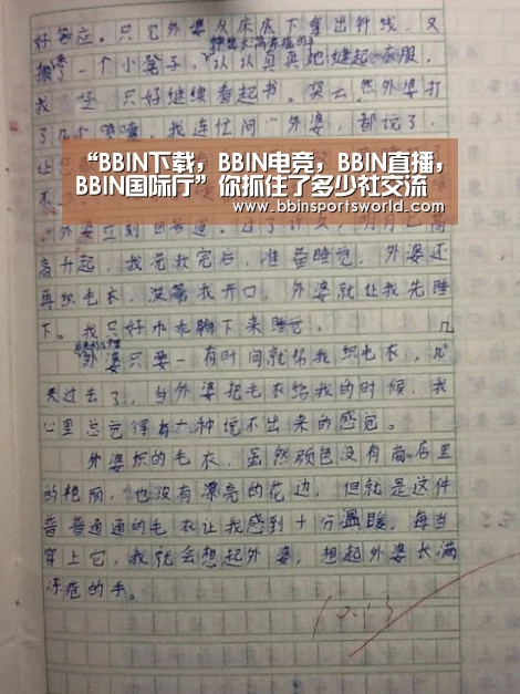 BBIN下载，BBIN电竞，BBIN直播，BBIN国际厅
