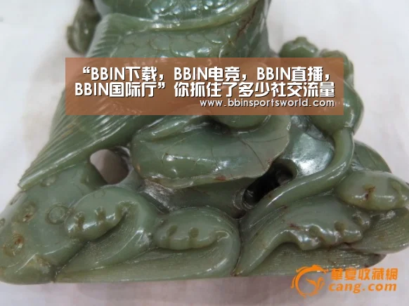 BBIN下载，BBIN电竞，BBIN直播，BBIN国际厅