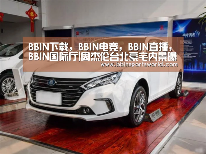 BBIN下载，BBIN电竞，BBIN直播，BBIN国际厅