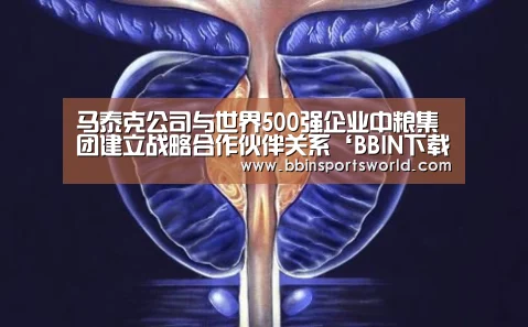 BBIN下载，BBIN电竞，BBIN直播，BBIN国际厅