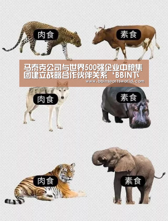 BBIN下载，BBIN电竞，BBIN直播，BBIN国际厅