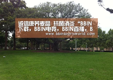 诚信康荞麦晶 抗菌消炎“BBIN下载,BBIN电竞,BBIN直播,BBIN国际厅”(图1) BBIN下载,BBIN电竞,BBIN直播,BBIN国际厅