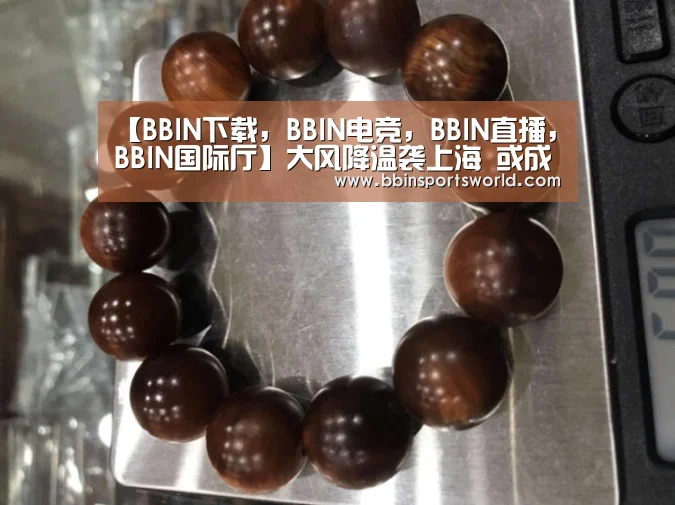 【BBIN下载,BBIN电竞,BBIN直播,BBIN国际厅】大风降温袭上海 或成沪龙年首个寒潮蓝色预警(图1) BBIN下载,BBIN电竞,BBIN直播,BBIN国际厅
