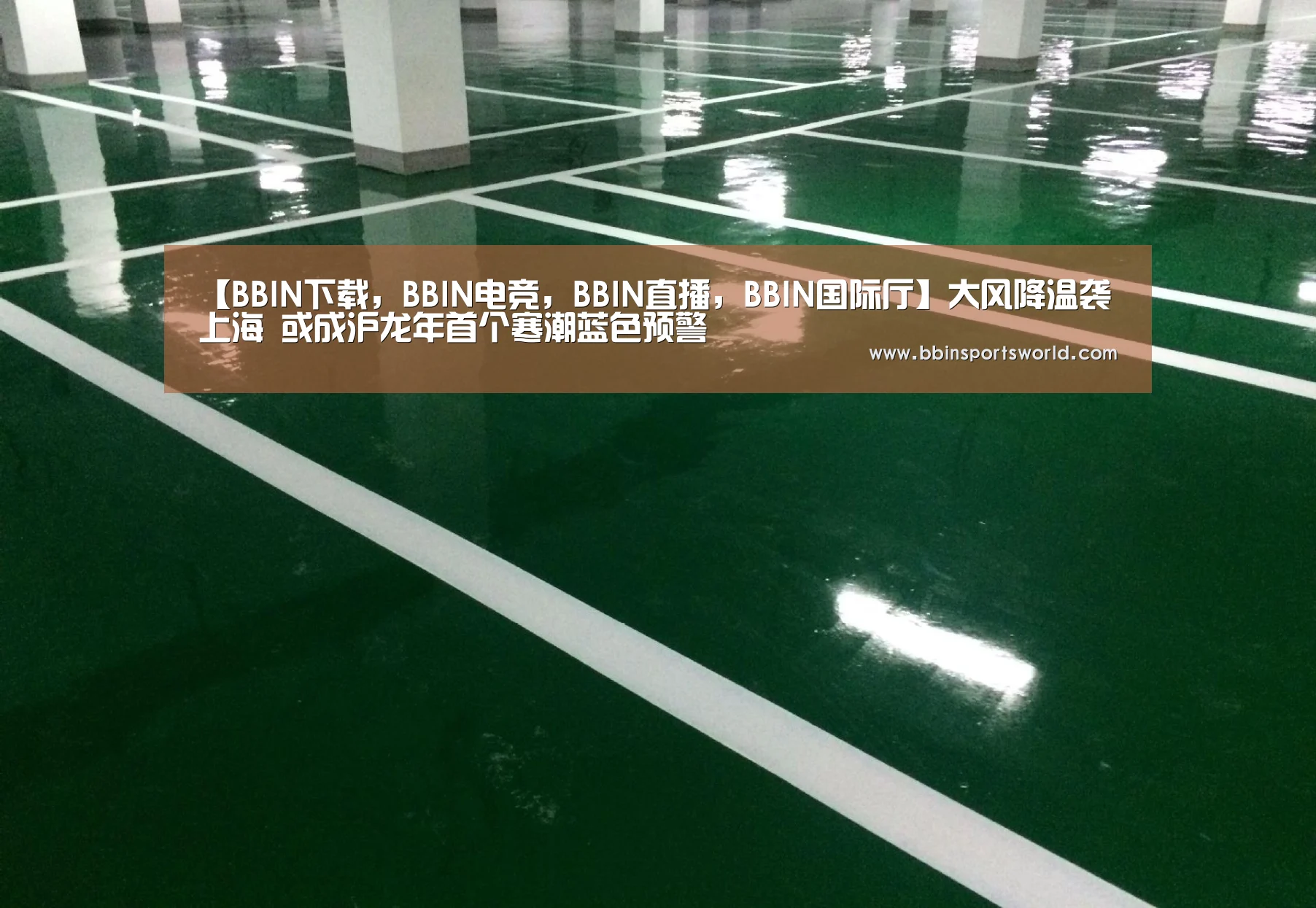 【BBIN下载,BBIN电竞,BBIN直播,BBIN国际厅】大风降温袭上海 或成沪龙年首个寒潮蓝色预警(图4) BBIN下载,BBIN电竞,BBIN直播,BBIN国际厅
