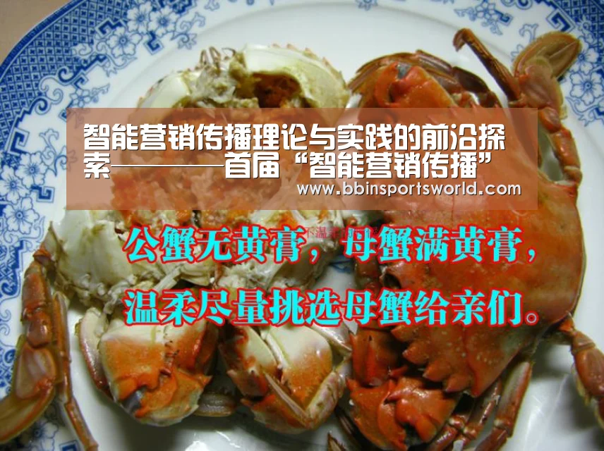 BBIN下载，BBIN电竞，BBIN直播，BBIN国际厅
