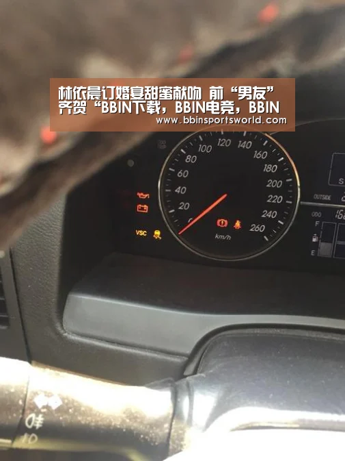 BBIN下载，BBIN电竞，BBIN直播，BBIN国际厅