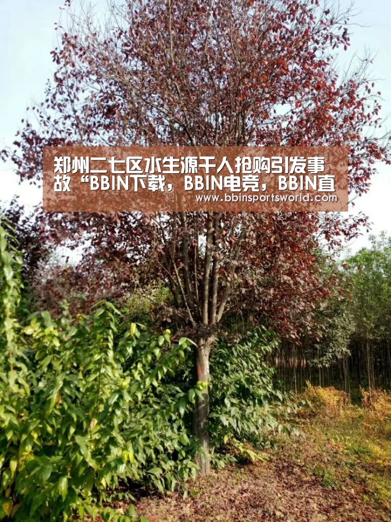 郑州二七区水生源千人抢购引发事故“BBIN下载,BBIN电竞,BBIN直播,BBIN国际厅”(图1) BBIN下载,BBIN电竞,BBIN直播,BBIN国际厅