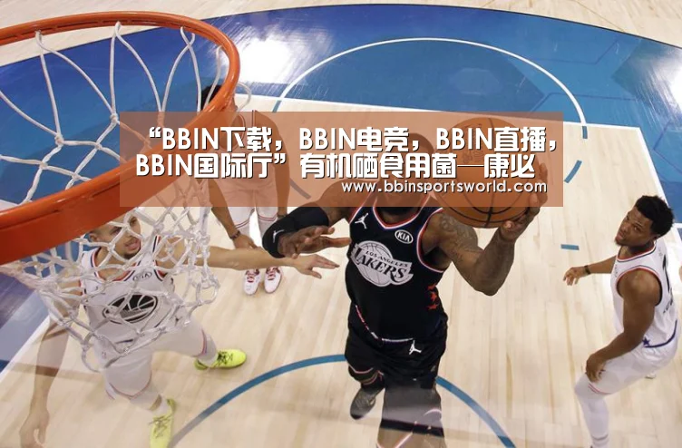 BBIN下载，BBIN电竞，BBIN直播，BBIN国际厅