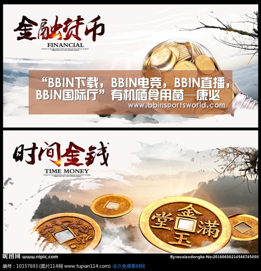 BBIN下载，BBIN电竞，BBIN直播，BBIN国际厅